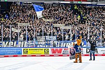 Eishockey, Herren, Penny DEL, Playoffs, Viertelfinale, Spiel 1, Saison 2023-2024, Straubing Tigers - Schwenninger Wild Wings,16.03.2024
