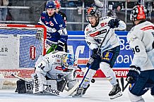 Eishockey, Herren, Penny DEL, 42. Spieltag, Saison 2023-2024, Straubing Tigers - Ingolstadt Panther,28.01.2024