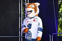 Eishockey, Herren, DEL, Saison 2021-2022, Straubing Tigers, 14.08.2021