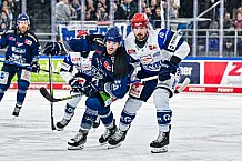 Eishockey, Herren, Penny DEL, Playoffs, Viertelfinale, Spiel 5, Saison 2023-2024, Straubing Tigers - Schwenninger Wild Wings,26.03.2024