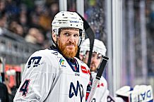 Eishockey, Herren, Penny DEL, 44. Spieltag, Saison 2023-2024, Straubing Tigers - Adler Mannheim,04.02.2024