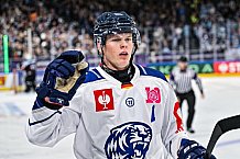 Eishockey, Men, CHL, Champions Hockey League, Regular Saison 2024-25, Game Day 1, Straubing Tigers - SonderjyskE Vojens, 06.09.2024