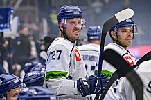 Eishockey, CHL, Champions Hockey League, 2. Spieltag, Saison 2022-2023, Gruppe F, Färjestad Karlstad - Straubing Tigers, 03.09.2022