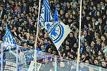 Eishockey, Herren, Penny DEL, 17. Spieltag, Saison 2023-2024, Straubing Tigers - EHC Red Bull Muenchen,03.11.2023