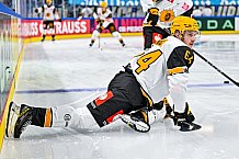Eishockey, Men, CHL, Champions Hockey League, Regular Saison 2024-25, Game Day 2, Straubing Tigers - Skelleftea AIK, 08.09.2024