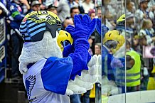 Eishockey, CHL, Champions Hockey League, 5. Spieltag, Saison 2022-2023, Gruppe F, Villacher SV - Straubing Tigers, 04.10.2022