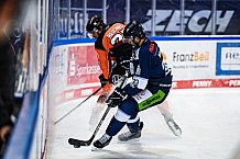 Eishockey, Herren, DEL, Saison 2021-2022, 10.12.2021