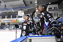 Eishockey, Herren, DEL, Saison 20202021, Straubing Tigers - Adler Mannheim, 22.01.2021