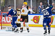 Eishockey, Men, CHL, Champions Hockey League, Regular Saison 2024-25, Game Day 2, Straubing Tigers - Skelleftea AIK, 08.09.2024