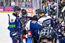 Eishockey, Men, CHL, Champions Hockey League, Regular Saison 2024-25, Game Day 2, Straubing Tigers - Skelleftea AIK, 08.09.2024