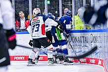 Eishockey, Herren, DEL, Penny DEL, Vorbereitung, Gäubodencup 2023, Saison 2023-2024, Straubing Tigers - Nürnberg Ice Tigers,18.08.2023