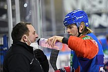 Eishockey, Herren, DEL, Saison 2020-2021, Straubing Tigers - Adler Mannheim, 06.03.2021