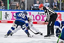 Eishockey, Herren, Penny DEL, 32. Spieltag, Saison 2023-2024, Straubing Tigers - Adler Mannheim,28.12.2023
