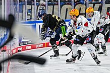 Eishockey, Herren, Penny DEL, 22. Spieltag, Saison 2023-2024, Straubing Tigers - Fischtown Pinguins Bremerhaven,26.11.2023