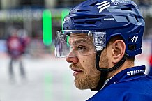 Eishockey, Herren, Penny DEL, 33. Spieltag, Saison 2023-2024, Straubing Tigers - Nürnberg Ice Tigers,30.12.2023
