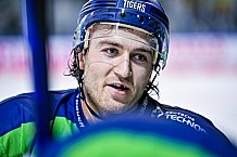 Eishockey, Herren, DEL, Saison 2022-2023, Hauptrunde, Straubing Tigers - EHC Red Bull München, 13. Spieltag, 21.10.2022