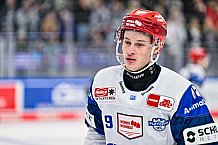 Eishockey, Herren, Penny DEL, Playoffs, Viertelfinale, Spiel 7, Saison 2023-2024, Straubing Tigers - Schwenninger Wild Wings,30.03.2024