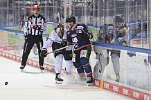 Eishockey, Herren, DEL, Saison 2020-2021, Straubing Tigers - EHC Red Bull München, 22.02.2021
