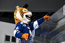 Eishockey, Herren, DEL, Saison 2021-2022, 05.11.2021