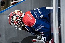 Eishockey, Herren, DEL, Saison 2021-2022, 55. Spieltag, Straubing Tigers - Augsburger Panther,  13.03.2022
