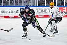 Eishockey, Herren, Penny DEL, 22. Spieltag, Saison 2023-2024, Straubing Tigers - Fischtown Pinguins Bremerhaven,26.11.2023