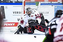 Eishockey, Herren, DEL, Saison 2020-2021, Straubing Tigers - Kölner Haie, 11.04.2021