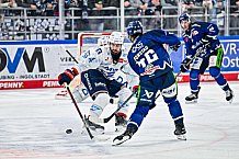 Eishockey, Men, DEL, Penny DEL, Hauptrunde Saison 2024-25, 8. Spieltag, Straubing Tigers - Adler Mannheim, 11.10.2024