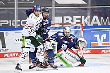 Straubing Tigers - Augsburger Panther