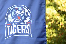 Eishockey, Herren, DEL, Saison 2021-2022, Straubing Tigers, 14.08.2021
