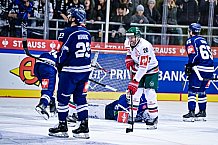 Eishockey, Herren, CHL, Champions Hockey League, Saison 2022-2023, Achtelfinale, Straubing Tigers - Frölunda HC Göteborg, Rückspiel, 22.11.2022