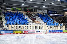 Eishockey, Herren, Penny DEL, 47. Spieltag, Saison 2023-2024, Straubing Tigers - Koelner Haie,18.02.2024