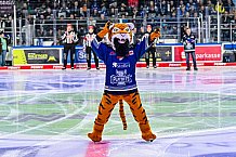 Eishockey, Herren, Penny DEL, Playoffs, Viertelfinale, Spiel 1, Saison 2023-2024, Straubing Tigers - Schwenninger Wild Wings,16.03.2024