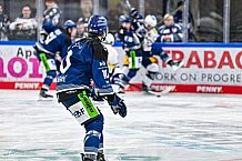 Eishockey, Herren, Penny DEL, Playoffs, Halbfinale, Spiel 2, Saison 2023-2024, Straubing Tigers - Eisbären Berlin, n03.04.2024