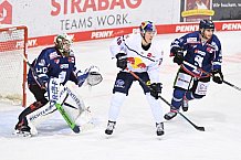 Eishockey, Herren, DEL, Saison 2020-2021, Straubing Tigers - EHC Red Bull München, 22.02.2021