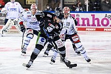 Eishockey, Herren, DEL, Saison 2021-2022, 46. Spieltag, Straubing Tigers - Schwenninger Wild Wings,  13.02.2022
