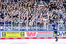 Eishockey, Herren, DEL, Penny DEL, Vorbereitung, Gäubodencup 2023, Saison 2023-2024, Straubing Tigers - Nürnberg Ice Tigers,18.08.2023