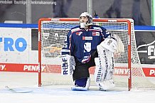 Straubing Tigers - ERC Ingolstadt