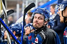 Eishockey, Herren, Penny DEL, Playoffs, Halbfinale, Spiel 4, Saison 2023-2024, Straubing Tigers - Eisbären Berlin, n07.04.2024