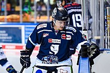 Eishockey, Herren, DEL, Saison 2021-2022, Straubing Tigers - Adler Mannheim, 10.09.2021