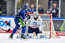 Eishockey, Men, DEL, Penny DEL, Hauptrunde Saison 2024-25, 8. Spieltag, Straubing Tigers - Adler Mannheim, 11.10.2024