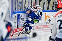 Eishockey, Herren, Penny DEL, 42. Spieltag, Saison 2023-2024, Straubing Tigers - Ingolstadt Panther,28.01.2024