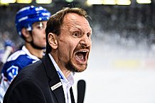 Eishockey, Herren, DEL, Saison 2021-2022, Straubing Tigers - Adler Mannheim, 10.09.2021