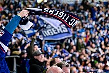 Eishockey, Herren, Penny DEL, DEL, Saison 2022-2023, Playoffs, Viertelfinale, Spiel 1, Straubing Tigers - Grizzlys Wolfsburg, 14.03.2023