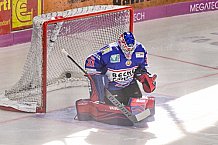 Herren, Eishockey, Oberliga-Sued, DEL2, Saison 2023-2024, DEB, Deggendorfer SC - Selber Woelfe, Vorbereitung, Niemeier Cup 2023, Halbfinale, 02.09.2023