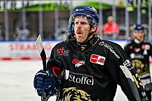 Eishockey, Herren, Penny DEL, 34. Spieltag, Saison 2023-2024, Straubing Tigers - Augsburger Panther,03.01.2024