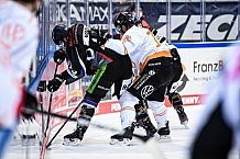 Eishockey, Herren, DEL, Saison 2020-2021, Straubing Tigers - Grizzlys Wolfsburg, 16.04.2021