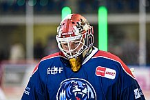 Eishockey, Herren, DEL, Saison 2021-2022, Playoff, Viertelfinale, Spiel 3, Straubing Tigers - Adler Mannheim, 14.04.2022