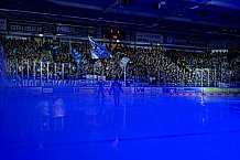 Eishockey, Herren, Penny DEL, Playoffs, Viertelfinale, Spiel 7, Saison 2023-2024, Straubing Tigers - Schwenninger Wild Wings,30.03.2024