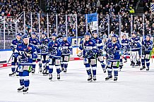 Eishockey, Herren, Penny DEL, 44. Spieltag, Saison 2023-2024, Straubing Tigers - Adler Mannheim,04.02.2024