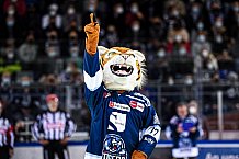 Eishockey, Herren, DEL, Saison 2021-2022, Panther, 17.09.2021